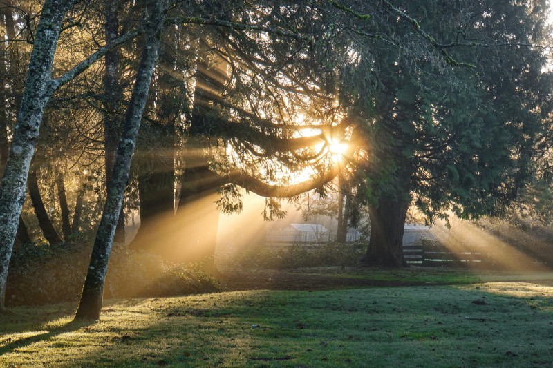 vybledlý čárový kód způsobený Sunlight.jpg