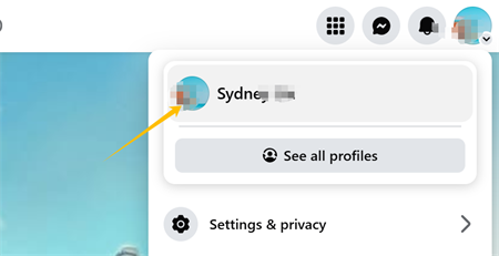 klikněte na profilov&yacute; obr&aacute;zek na facebooku
