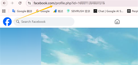 Facebook profil odkaz